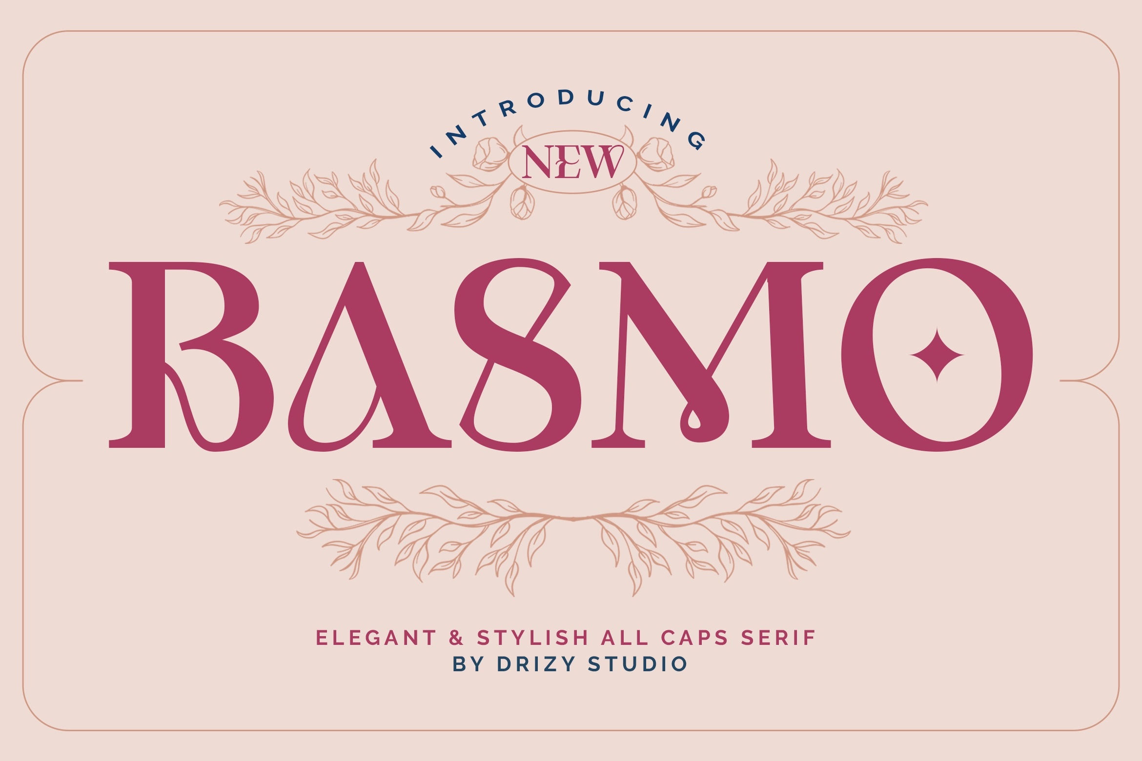 Basmo Demo