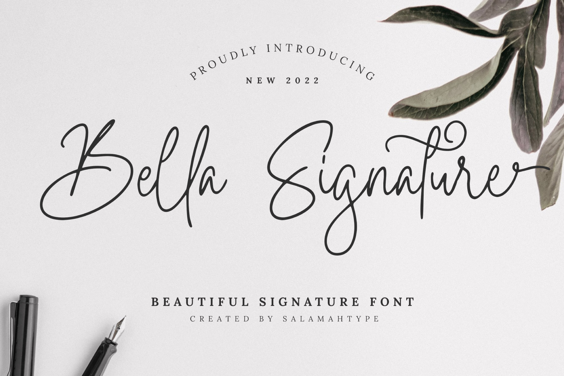 Bella Signature