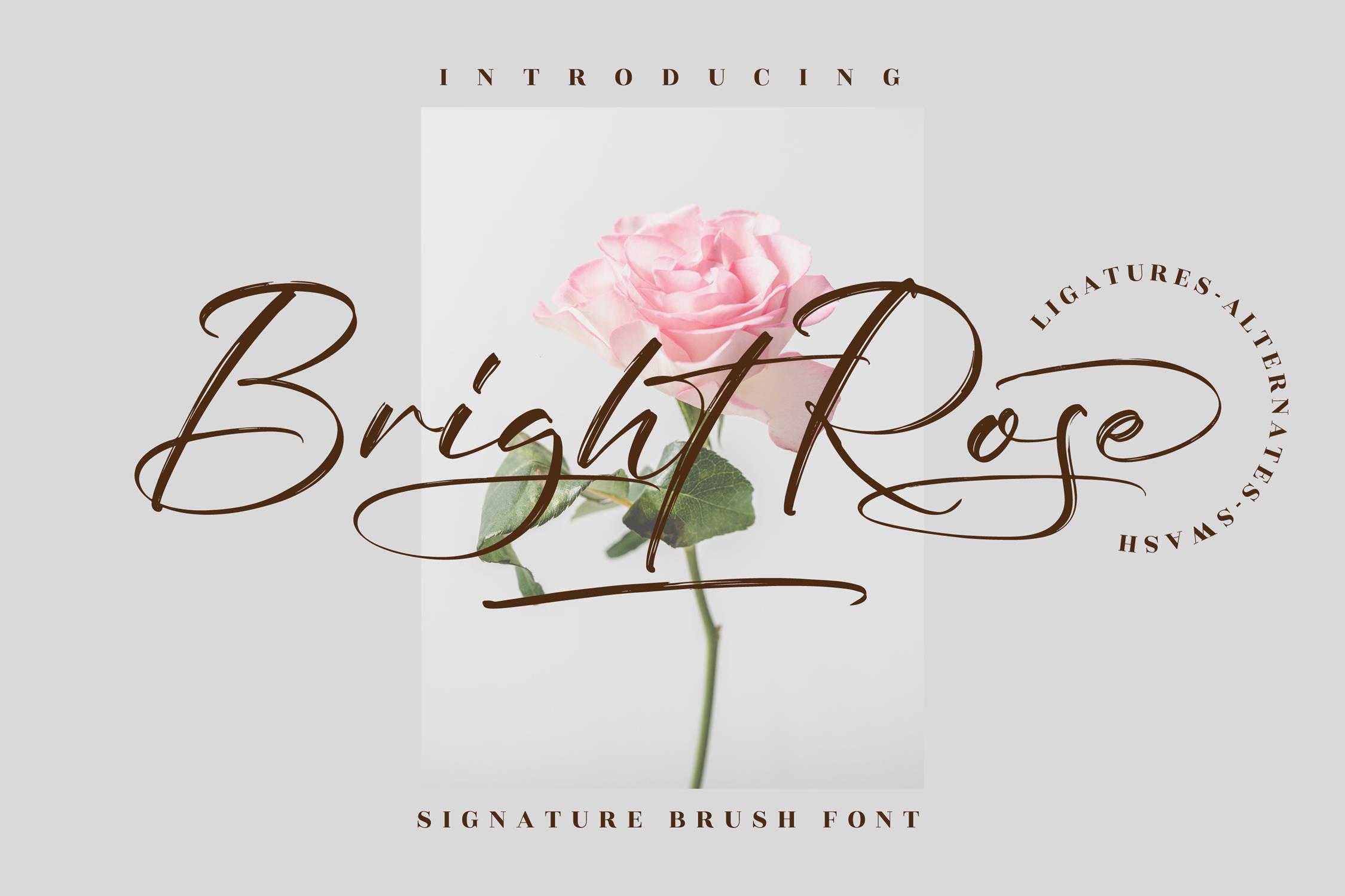 Bright Rose