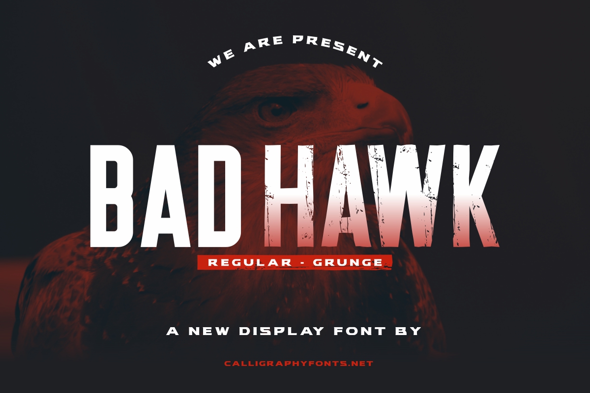 Bad Hawk Demo Grunge