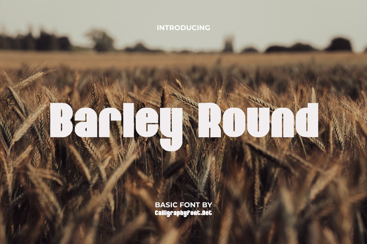 Barley Round Demo