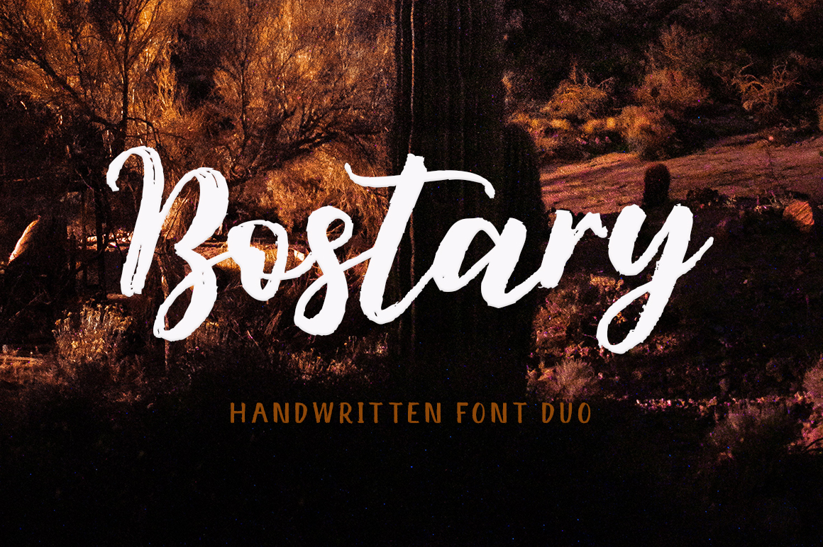 Bostary Brush Sans