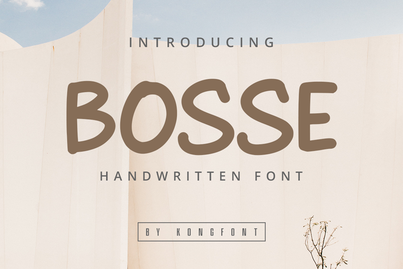 Bosse PERSONAL USE ONLY!