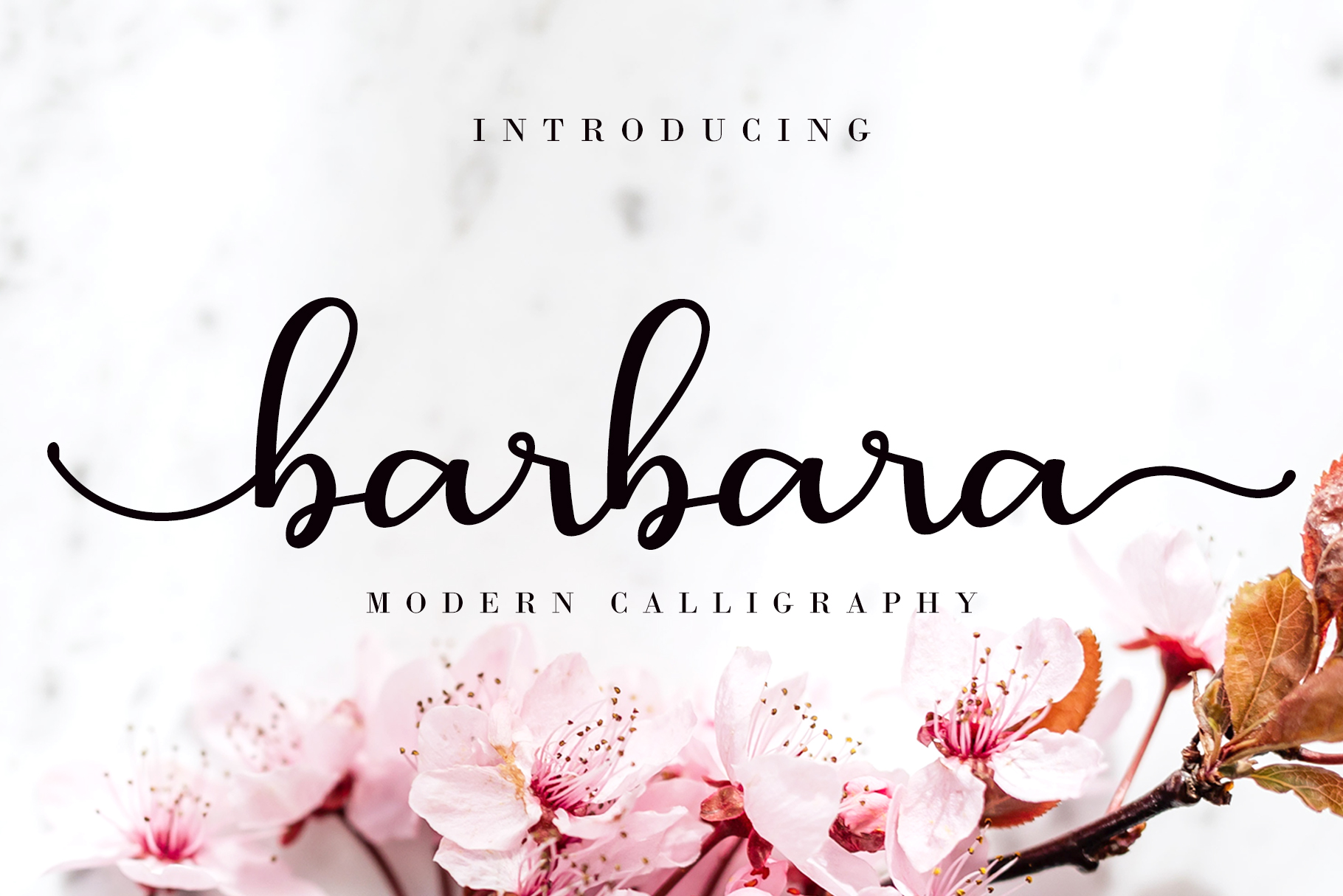 Barbara Calligraphy