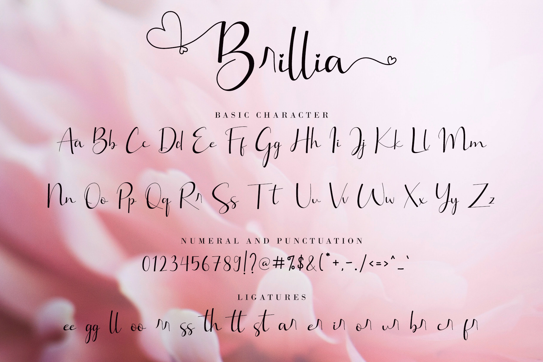 Brillia Calligraphy