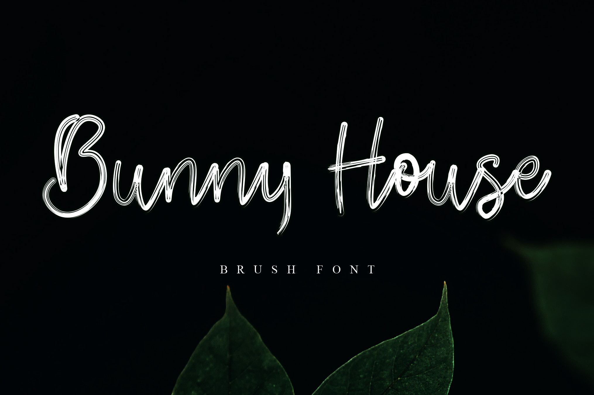 Bunny House