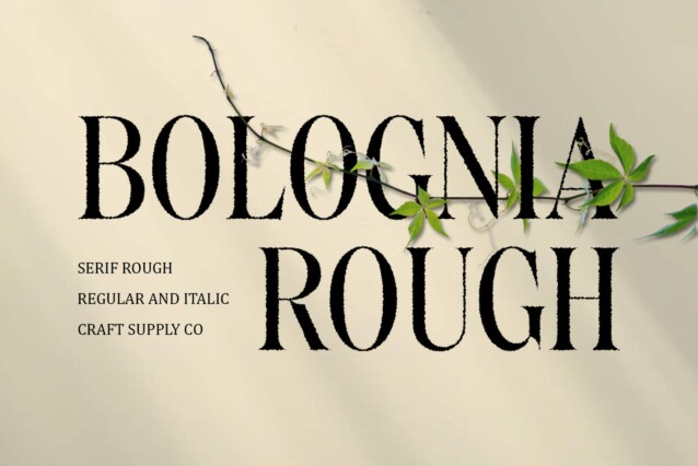 Bolognia Rough Demo