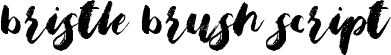 Bristle Brush Script