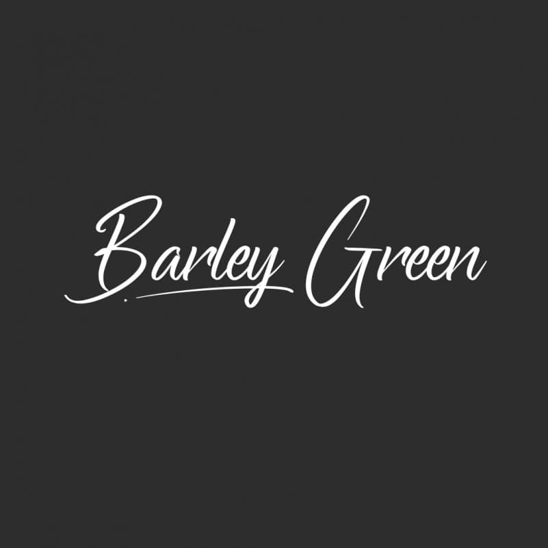 Bartley Green Demo