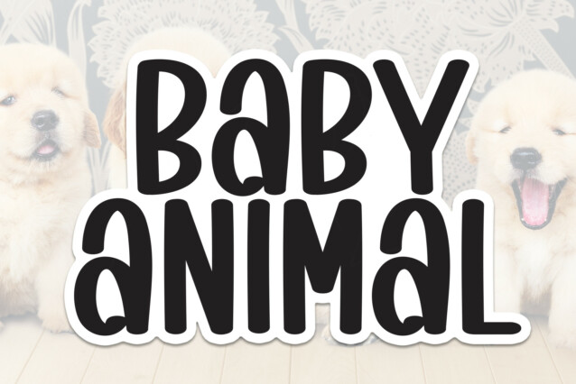 Baby Animal