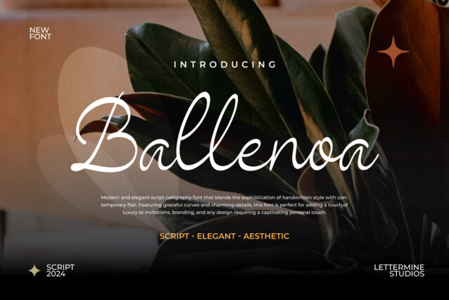 Ballenoa Demo