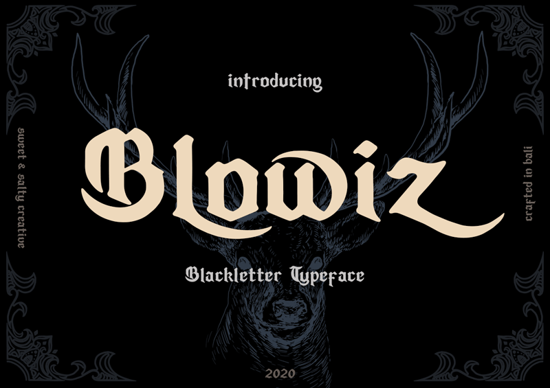 Blowiz