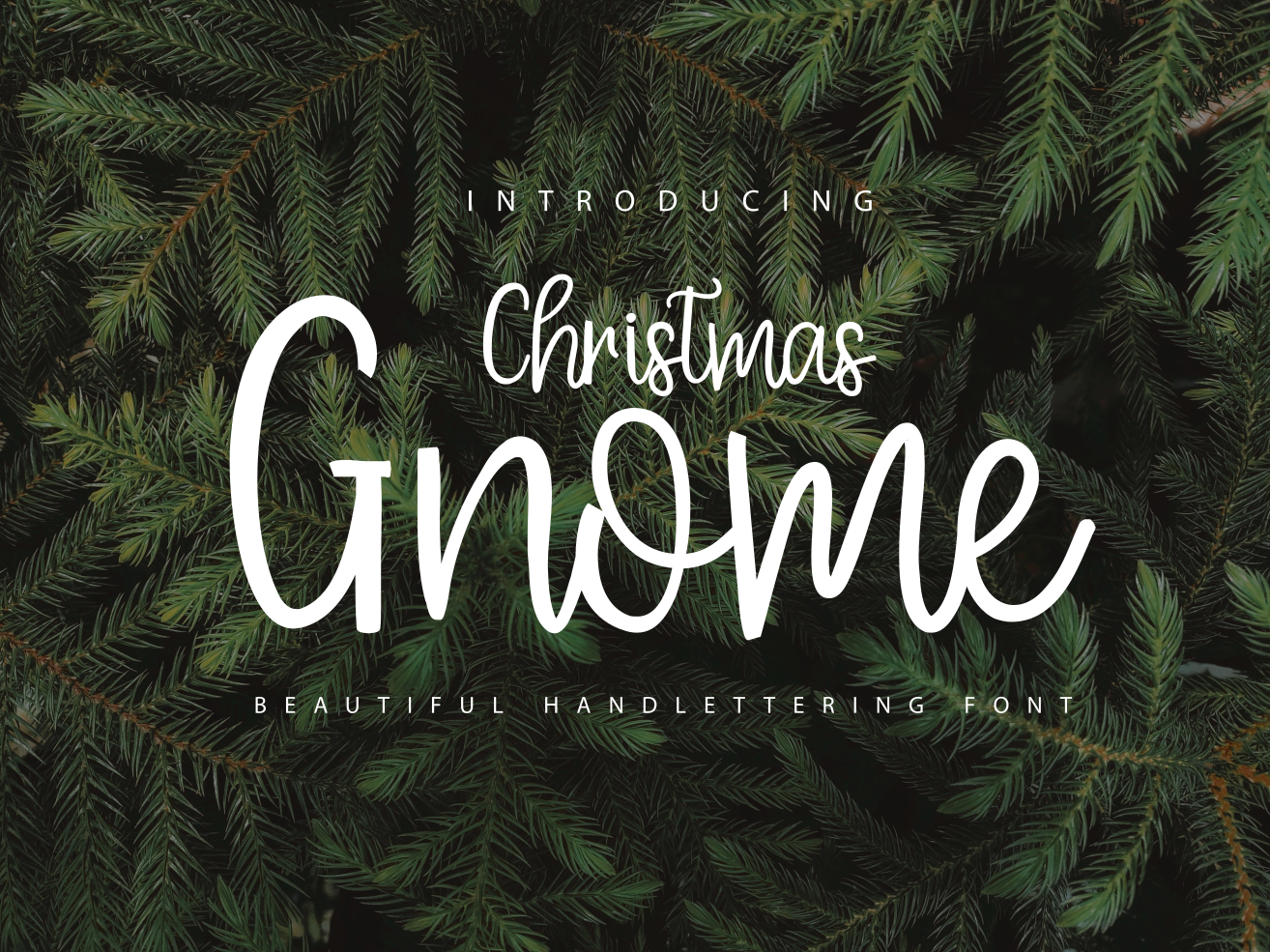 Christmas-Gnome