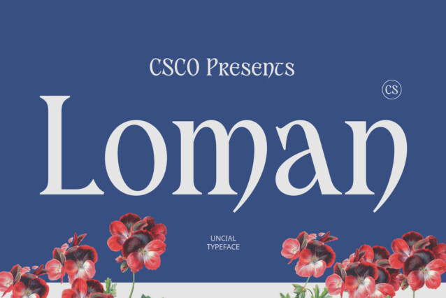 CS Loman Demo