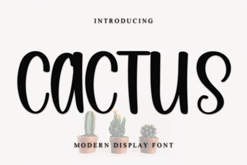 Cactus