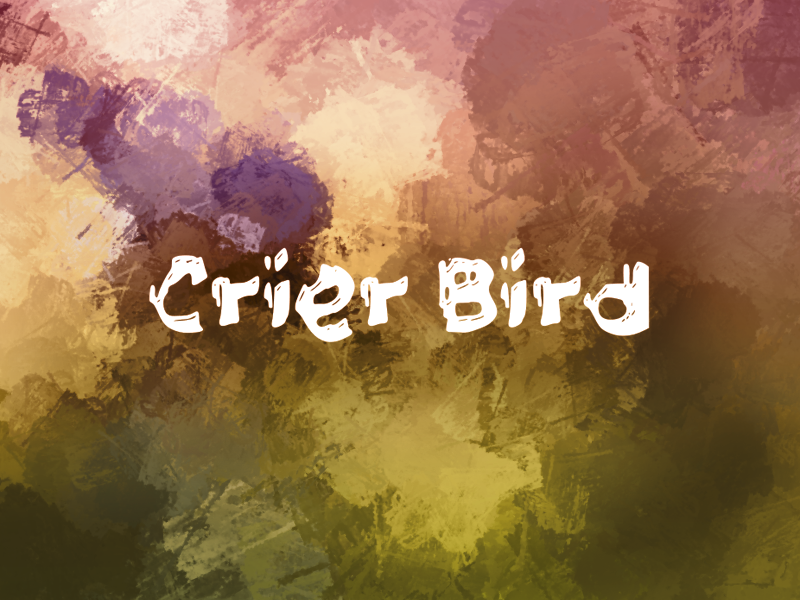 c Crier Bird
