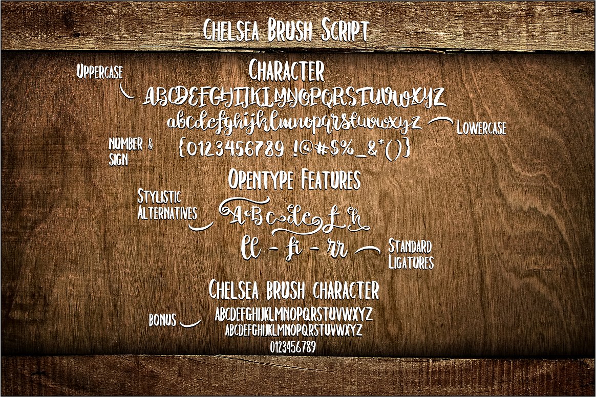 Chelsea Brush Script