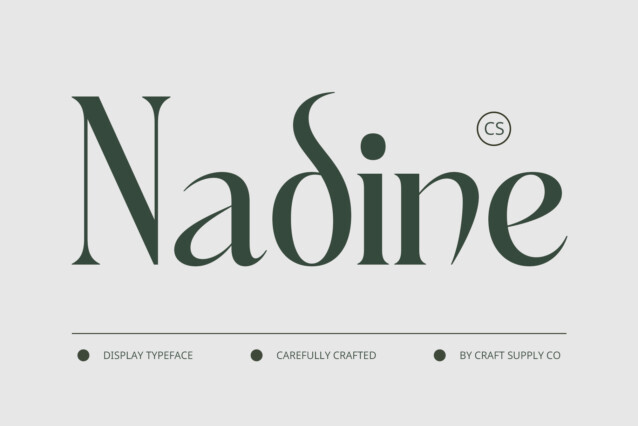 CS Nadine Demo