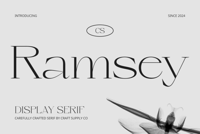 CS Ramsey Demo