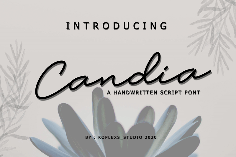 Candia Script Font