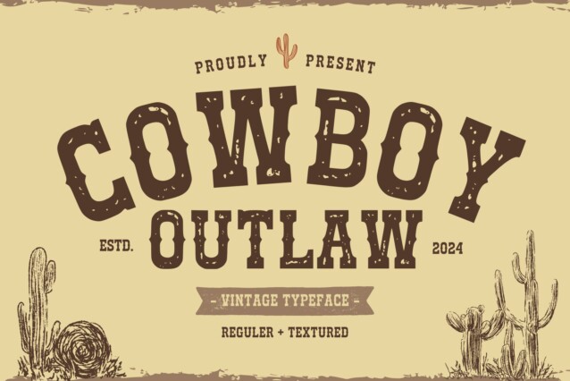 Cowboy Outlaw