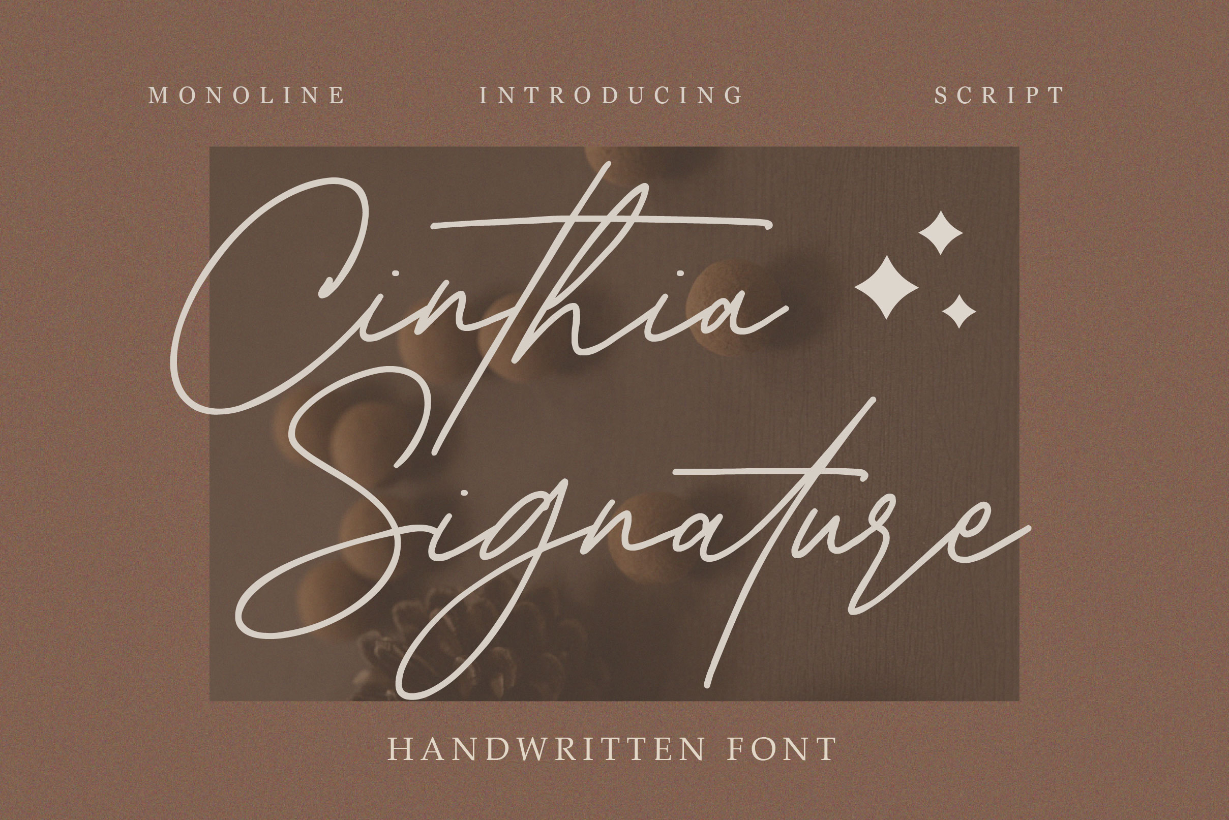 Cinthia Signature