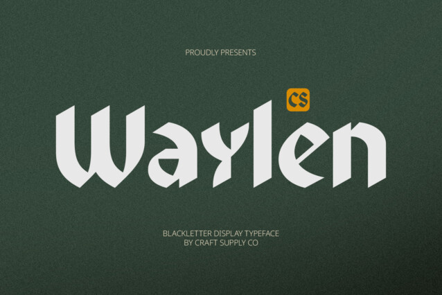 CS Waylen Demo