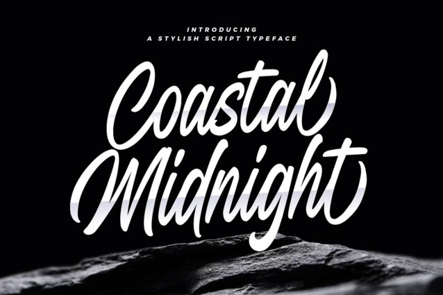 Coastal Midnight