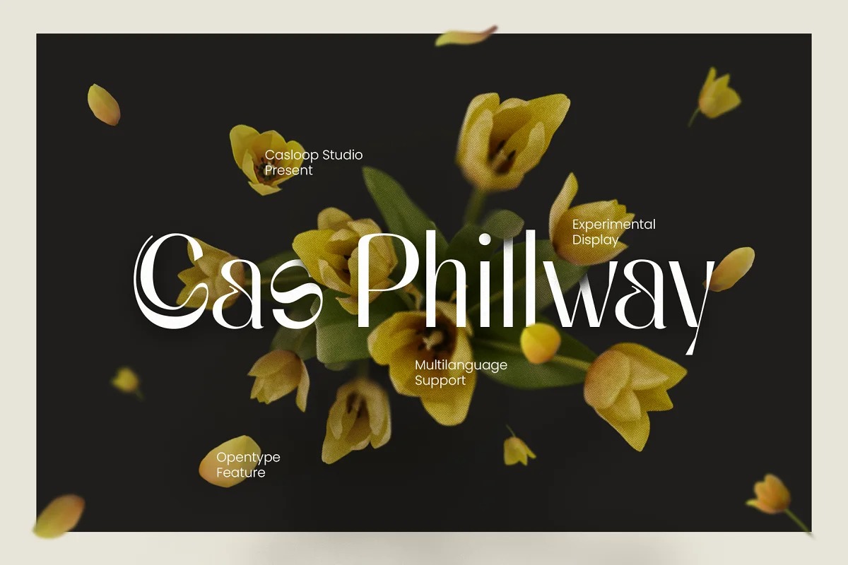 Cas Phillway DEMO