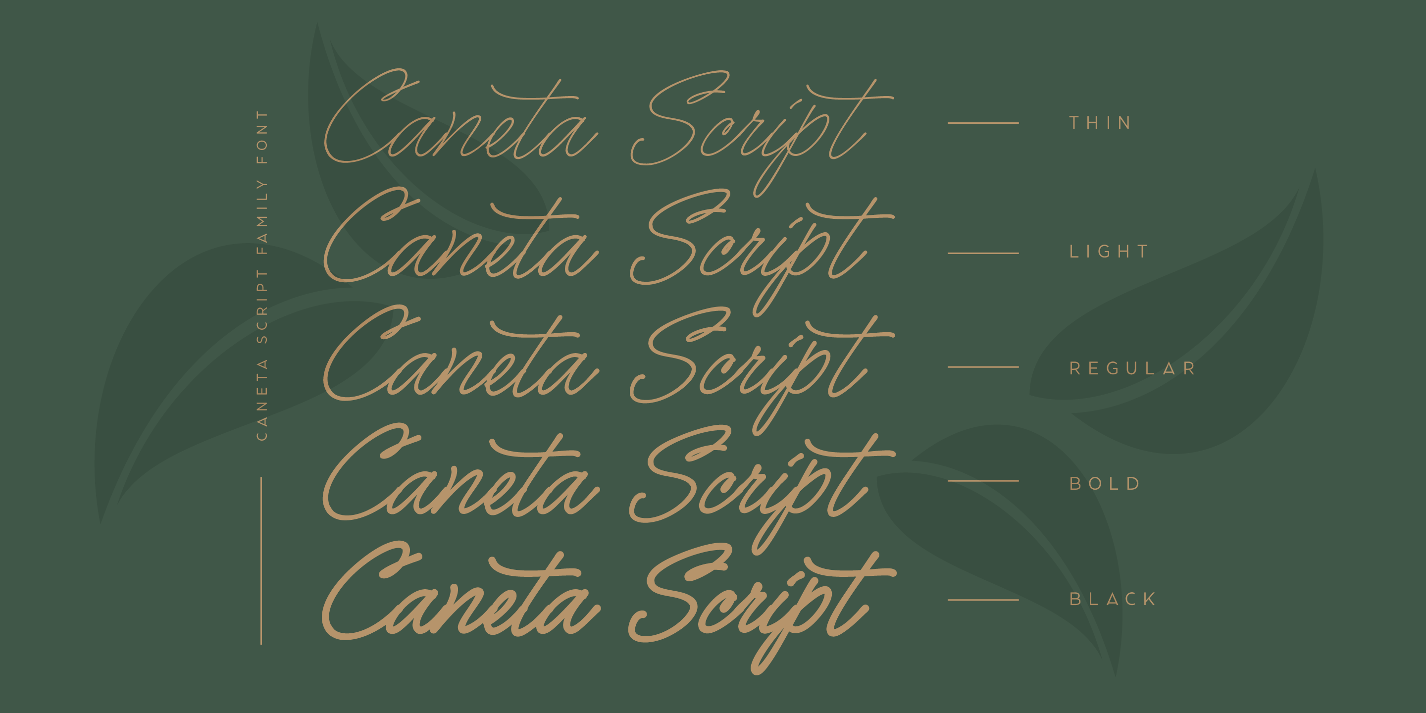 Caneta Script PERSONAL USE Thin