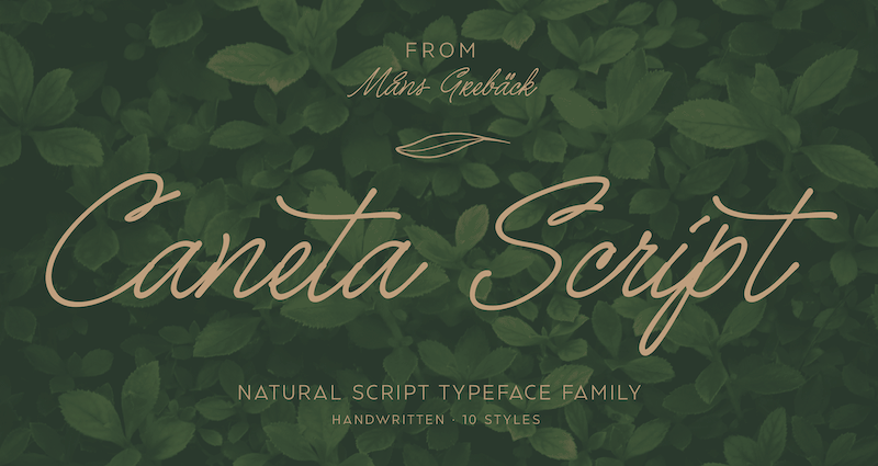 Caneta Script PERSONAL USE Thin