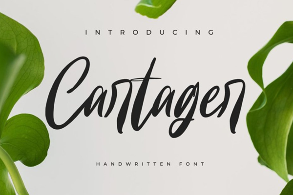 Cartager Personal Use