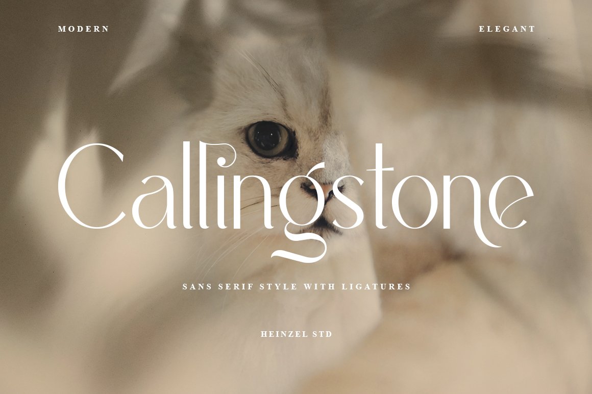 Callingstone