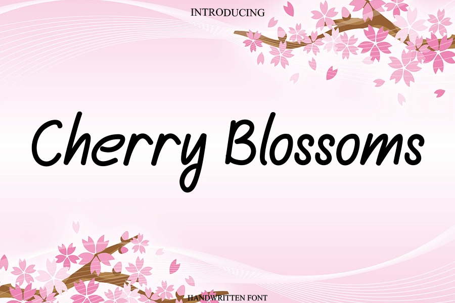 Cherry Blossoms