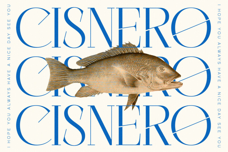 Cisnero