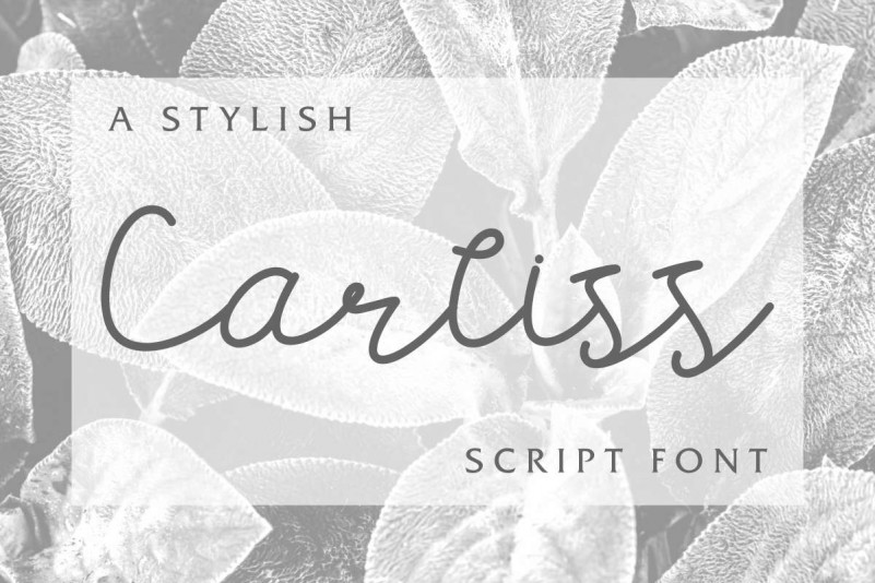 Carllis DEMO