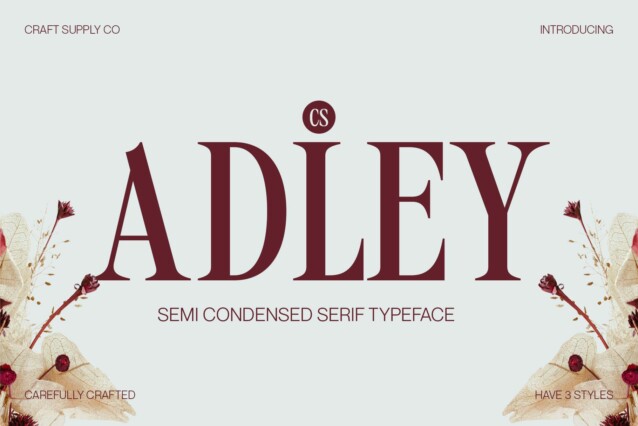 CS Adley Demo