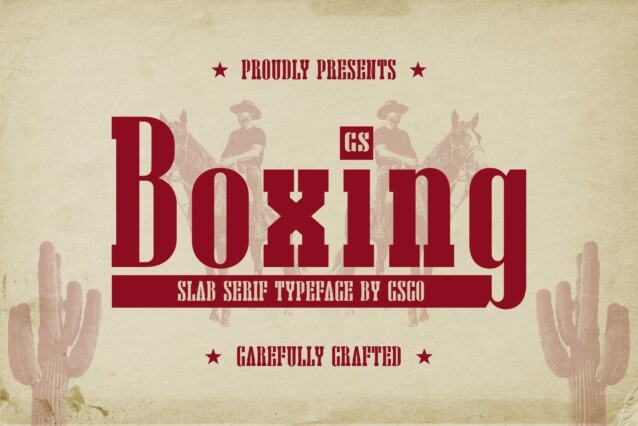 CS Boxing Demo