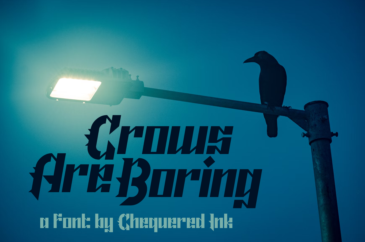 Crows Are Boring Straight