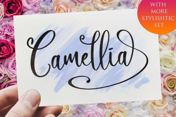 Camellia Personal Use