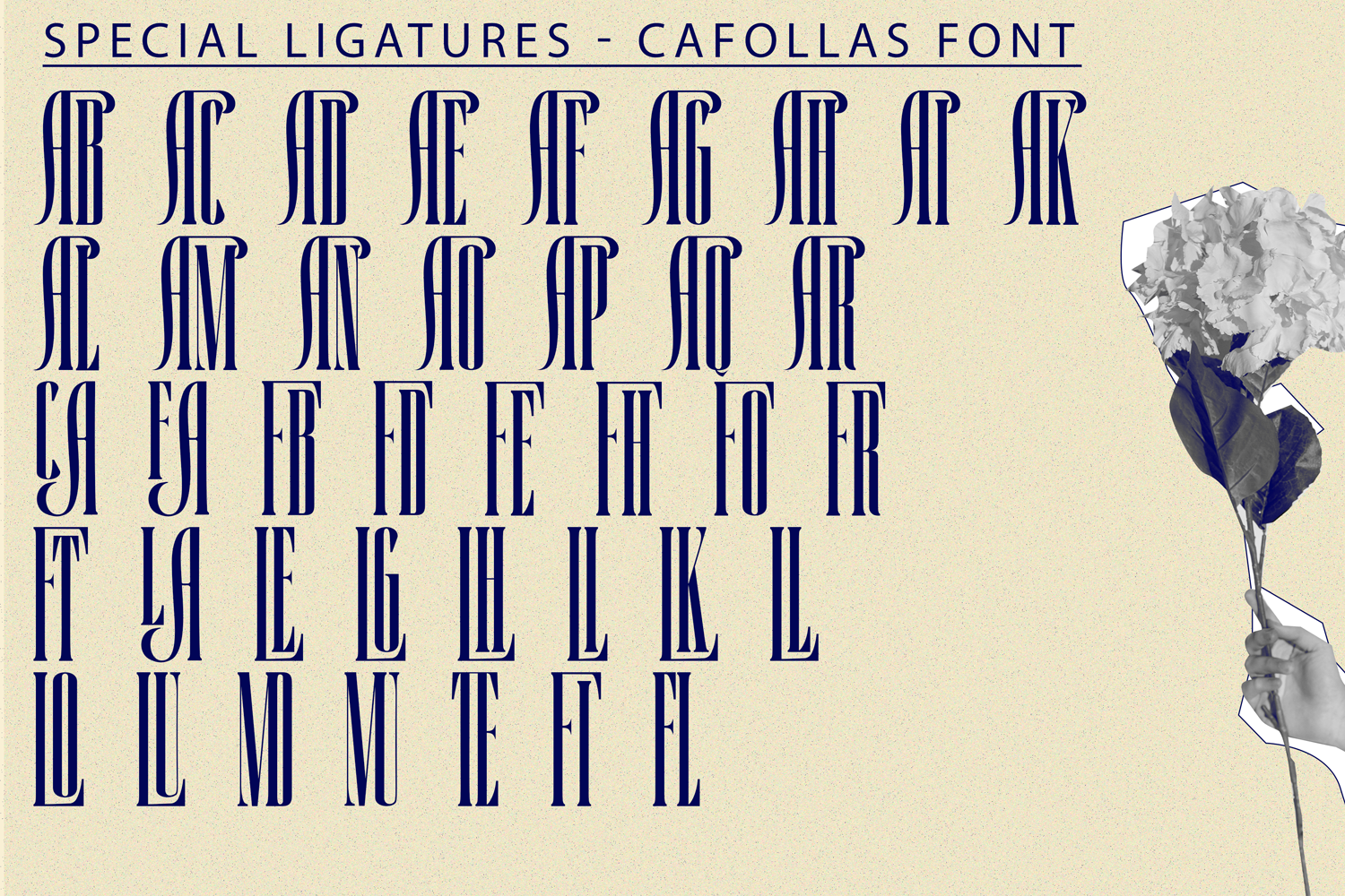 CAFOLLAS DEMO