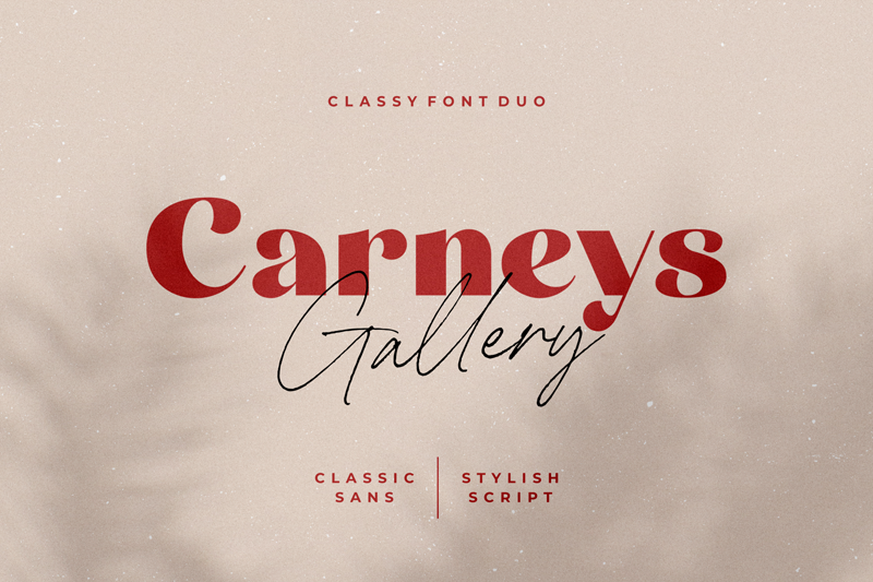 Carneys Gallery Script Demo Ver