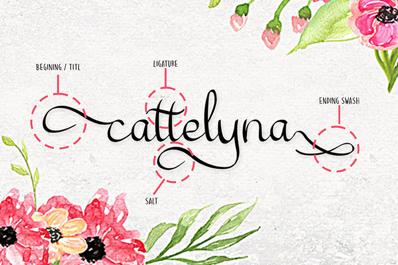 cattelyna