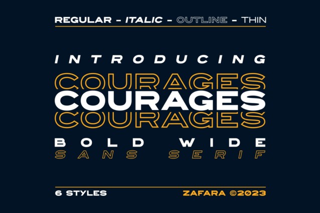 COURAGES DEMO