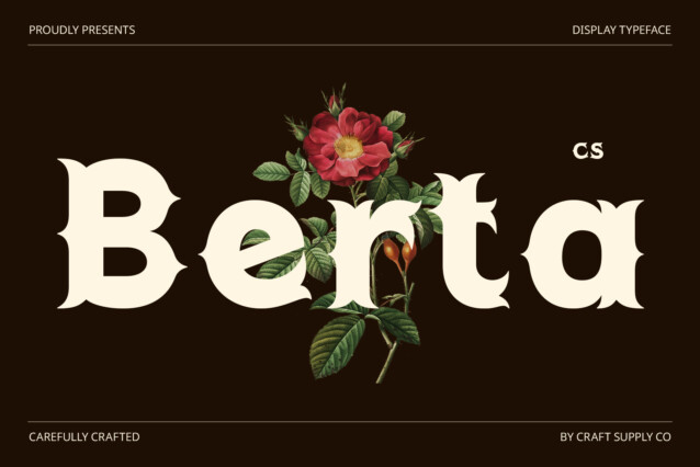 CS Berta Demo