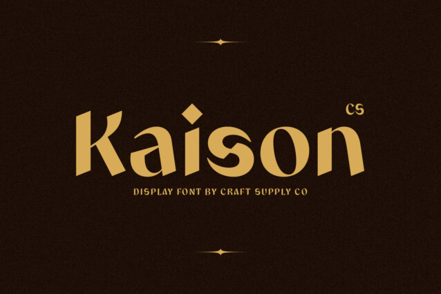 CS Kaison Demo