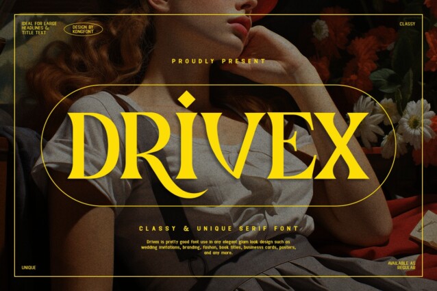 Drivex PERSONAL USE ONLY!