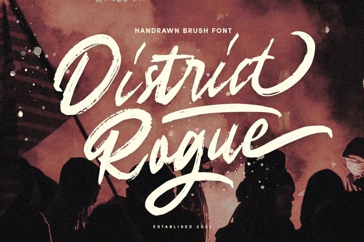 District Rogue Demo