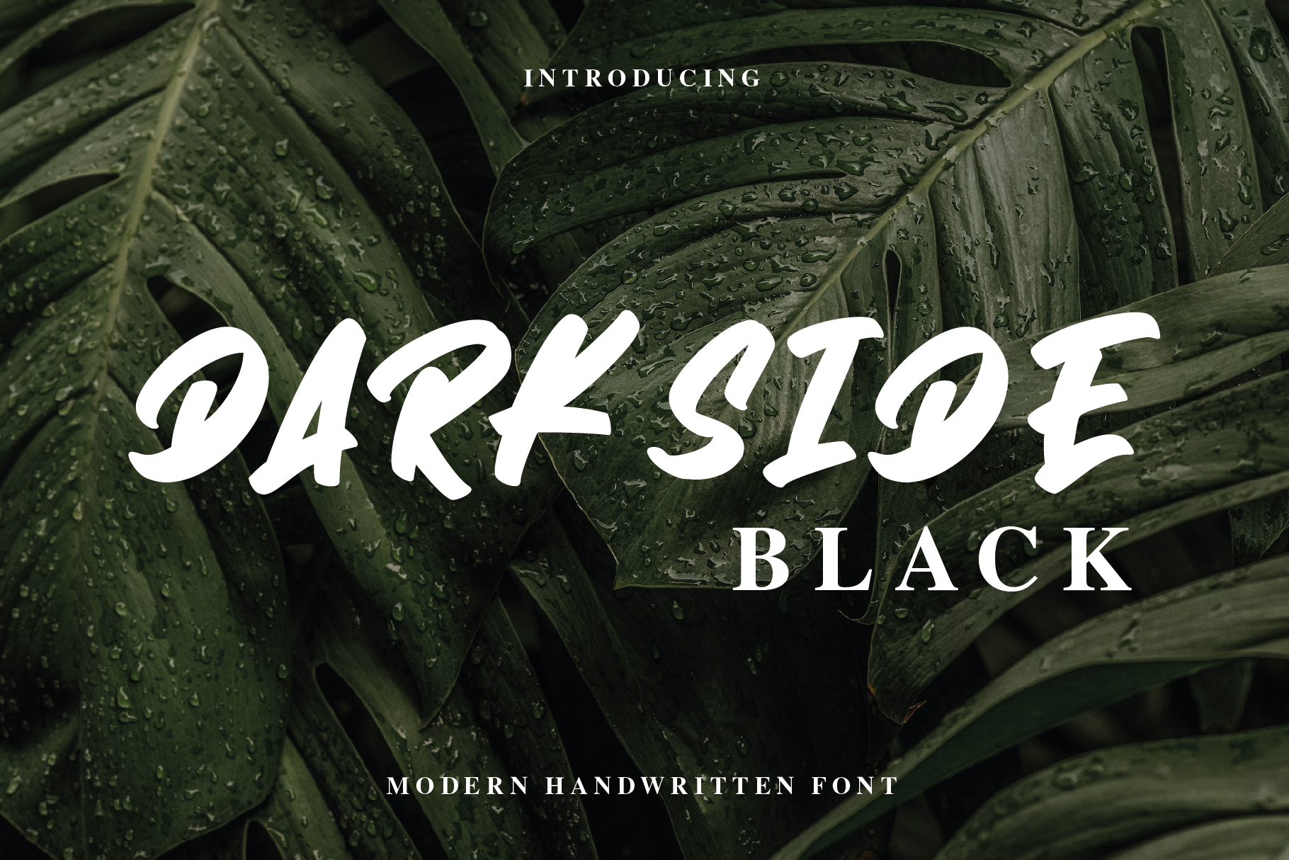 Darkside Black