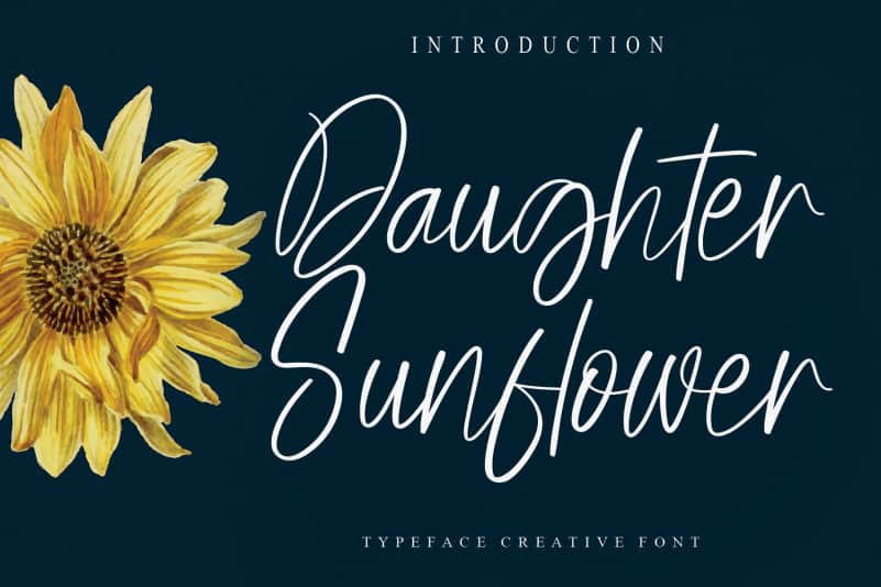 Daughter Sunflower